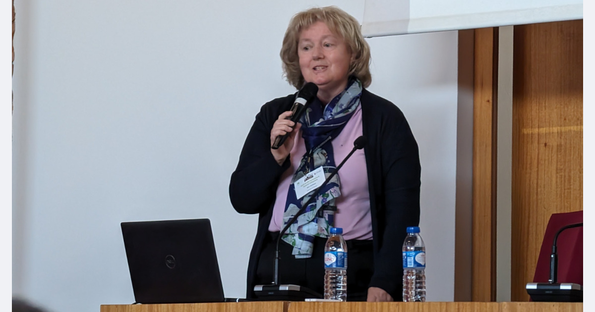 XXIII Grudis Conference and Doctoral Colloquium - Balanço
